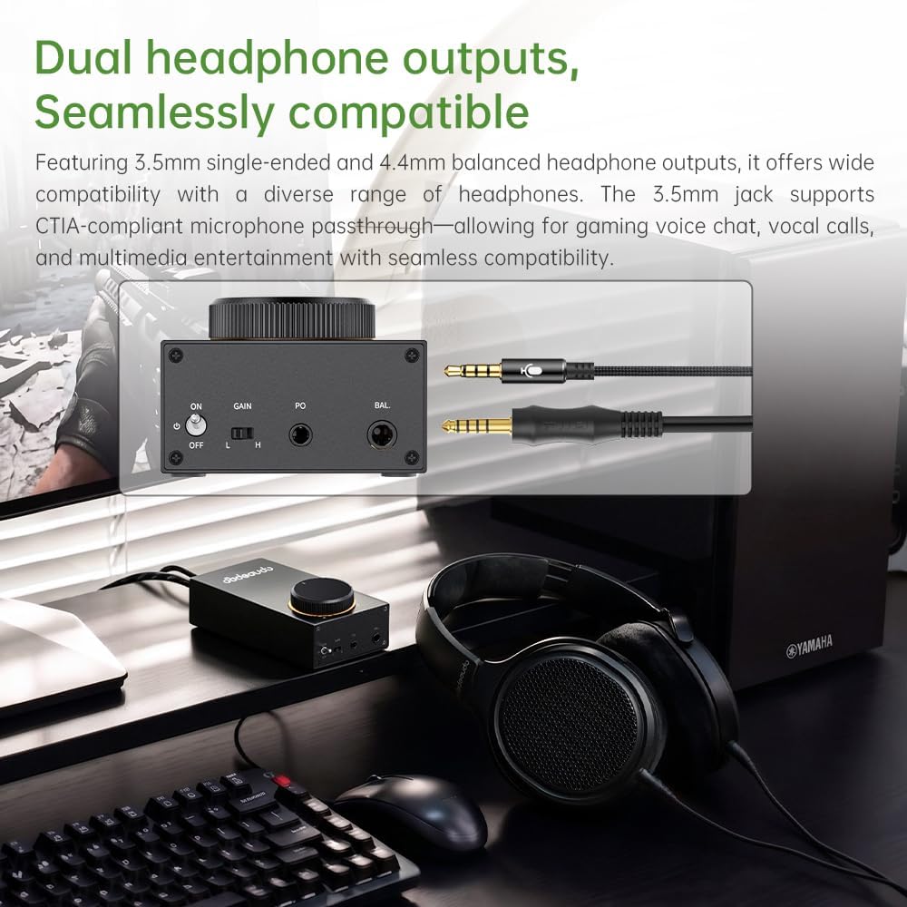 FiiO GIGAS 1 Desktop Headphone Amplifier 4600mW Balanced Output